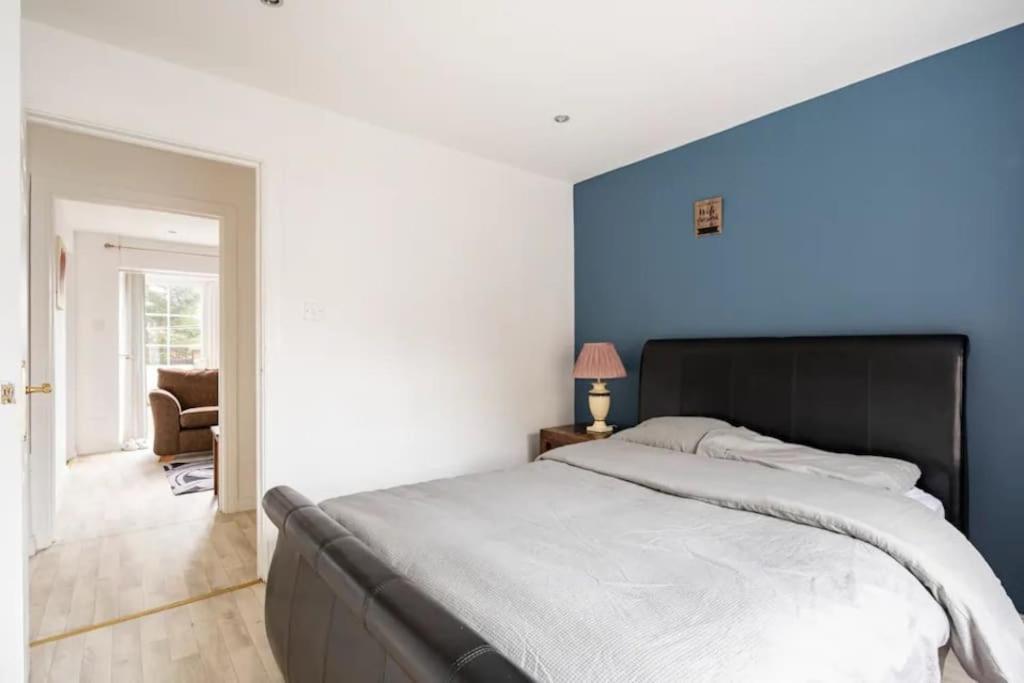 Lovely One Bedroom Flat. Μπέλφαστ Εξωτερικό φωτογραφία